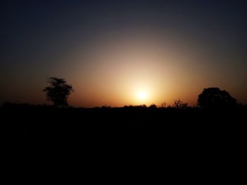 Silhouette trees on field against clear sky during sunset