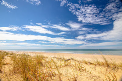 Scenic view of beach against sky