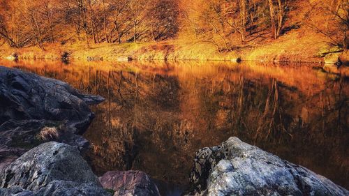 Reflection of trees in lake during autumn