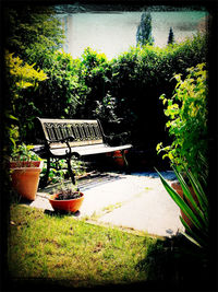 Empty chairs in backyard