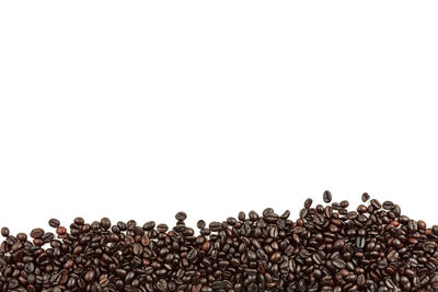 Close-up of coffee beans against white background