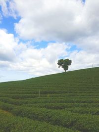 Scenic view of grassy field against cloudy sky