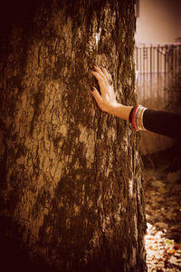 Close-up of hands on tree trunk