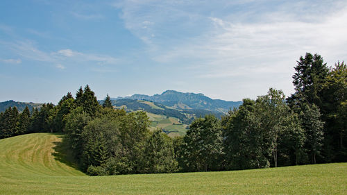 Trees and mountains against sky