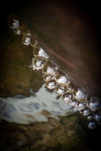 High angle view of water in lake