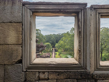 Trees and plants seen through window of old building