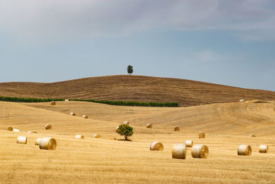 Hay bales on field against sky