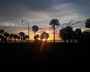 Silhouette palm trees against dramatic sky