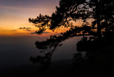 Silhouette tree by plants against sky at sunset