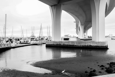 Sailboats moored at harbor against sky