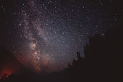 Low angle view of star field against star field