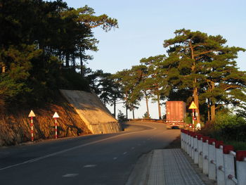 Empty road along trees