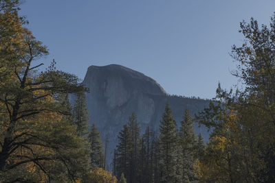 Half dome from the yosemite valley ground during fall with forest