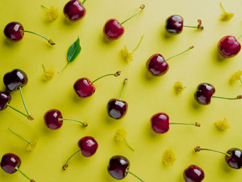 High angle view of candies