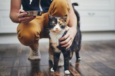 Midsection of man holding cat