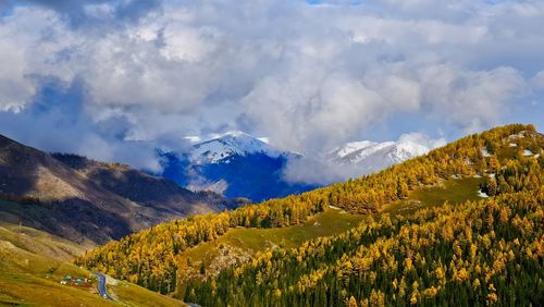 landscape