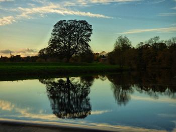 Silhouette trees by lake against sky