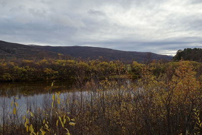 Scenic view of lake against sky