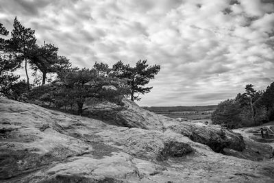 Scenic view of trees against sky