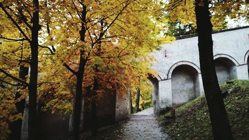 Footpath amidst trees in park during autumn