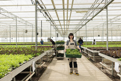 Rear view of woman walking in greenhouse