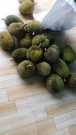 High angle view of succulent plant on table