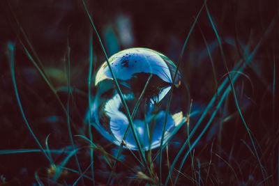 Close up of round foam bubble on the grass with the reflection of sky 