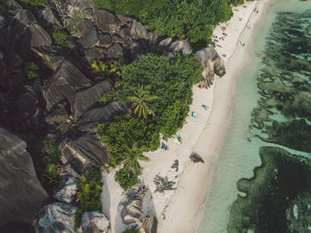 Aerial view of beach