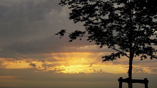 Silhouette of trees against cloudy sky