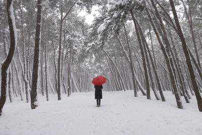 Rear view of person with red umbrella walking in snow covered forest