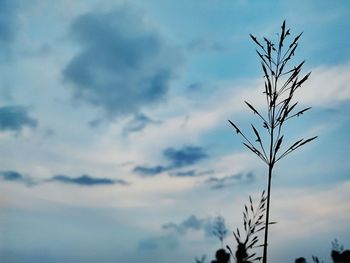 Low angle view of trees against cloudy sky