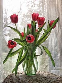 Close-up of red flowers