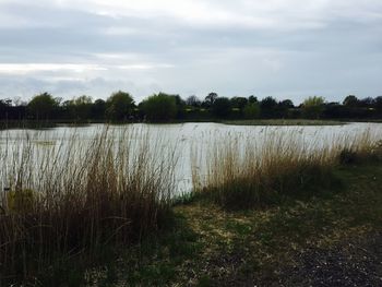 Scenic view of lake against cloudy sky