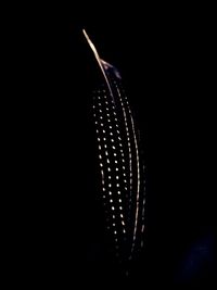 Close-up of illuminated lamp over black background