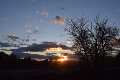 Silhouette trees on landscape against sky at sunset