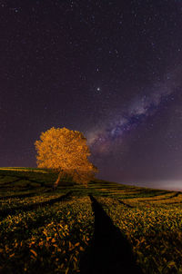 Scenic view of field against sky at night