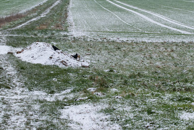 Scenic view of snow covered land