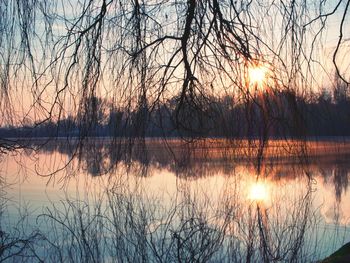 Reflection of bare trees in lake during sunset