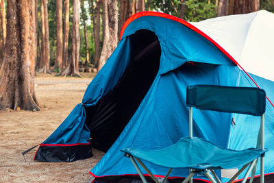 View of tent in forest