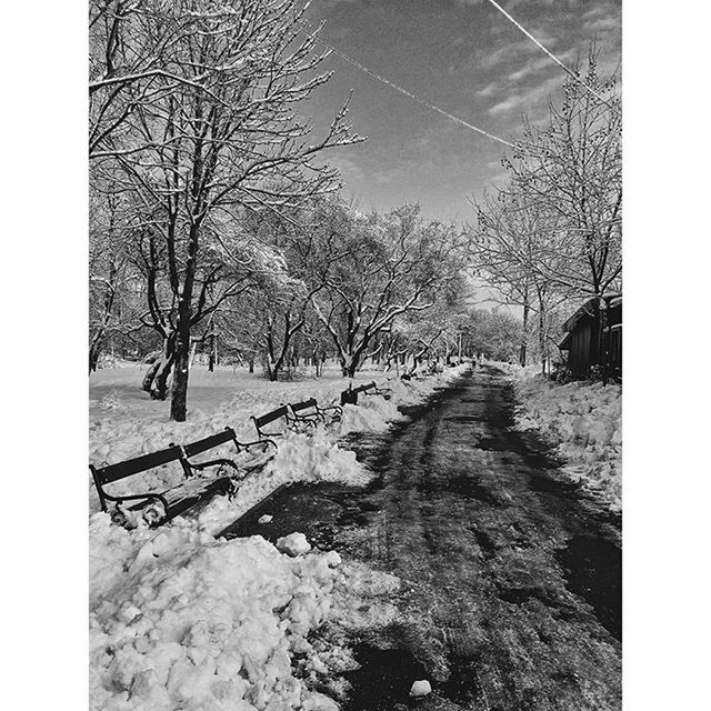 transfer print, bare tree, tree, the way forward, auto post production filter, sky, snow, diminishing perspective, winter, road, tranquility, cold temperature, tranquil scene, street, nature, vanishing point, landscape, day, outdoors, long