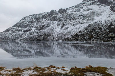 Lofoten's iced lake