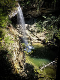 Scenic view of waterfall in forest