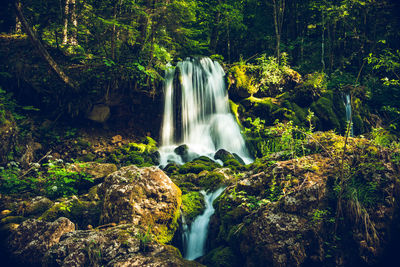 Waterfall in forest