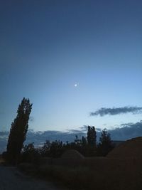 Trees on field against sky at night