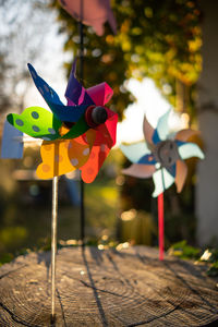 Close-up of multi colored toy hanging on tree in field