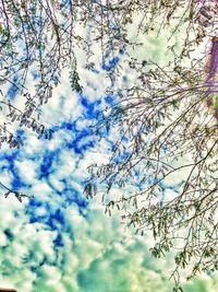 Low angle view of tree against cloudy sky