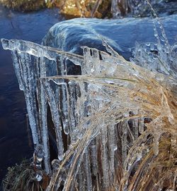 Close-up of frozen water