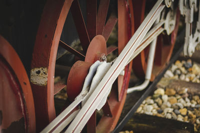 High angle view of crab on wood