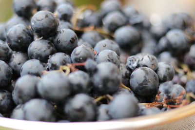 Close-up of blueberries