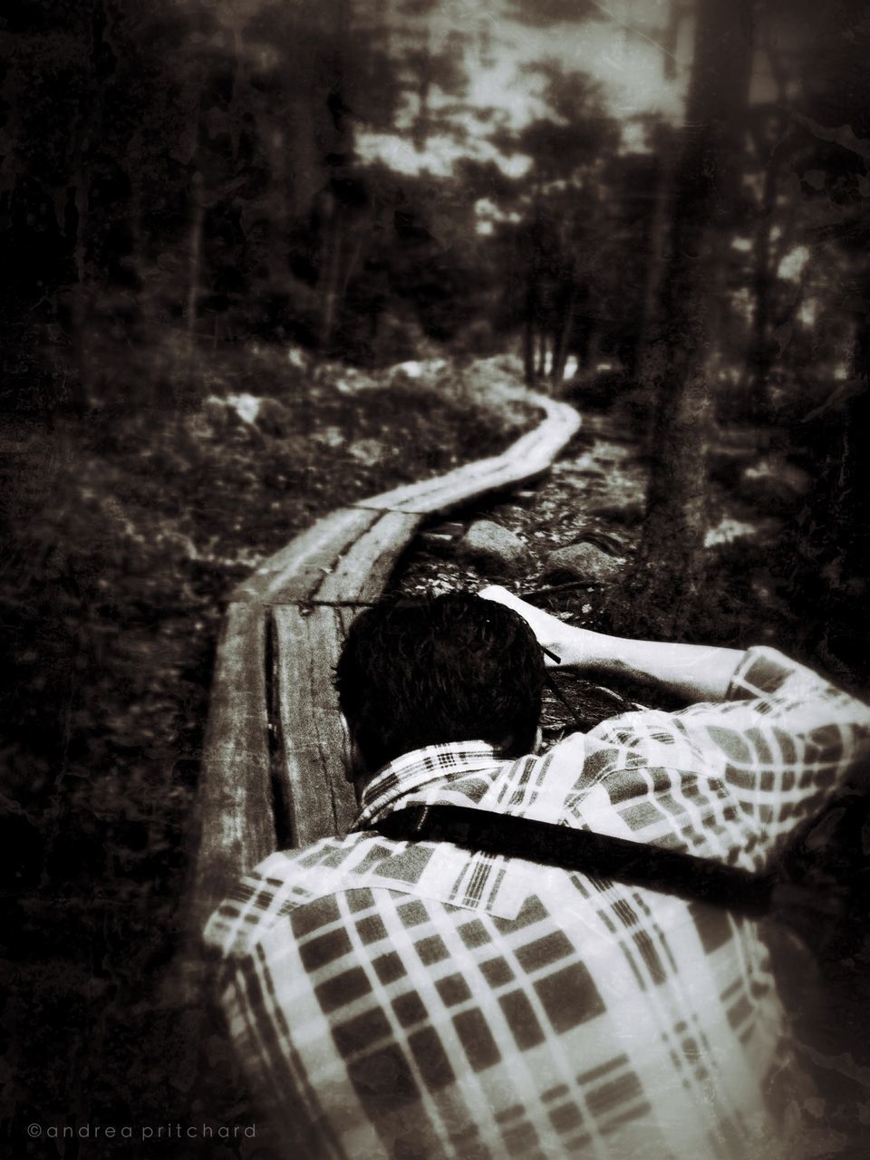 forest, relaxation, selective focus, one person, tree, sunlight, day, indoors, auto post production filter, empty, nature, focus on foreground, the way forward, absence, shadow, high angle view, side view, sitting